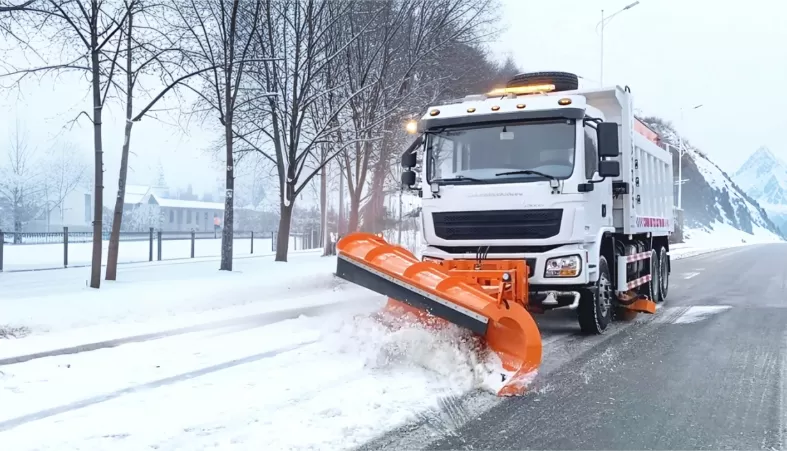 Municipal Watering and Snow Removal